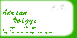 adrian volgyi business card