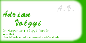 adrian volgyi business card